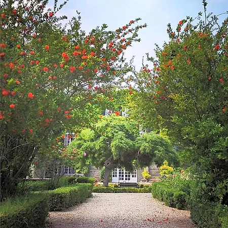 Chateau De - Et Piscine Exterieure Chauffee 酒店 4*