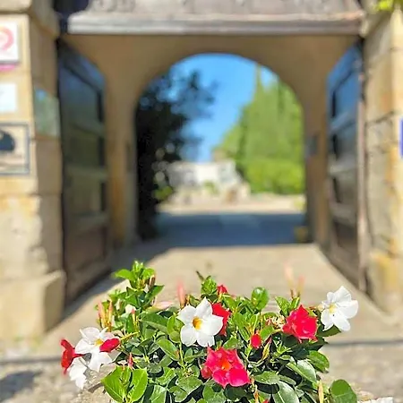 Chateau De - Et Piscine Exterieure Chauffee 酒店 弗卢尔